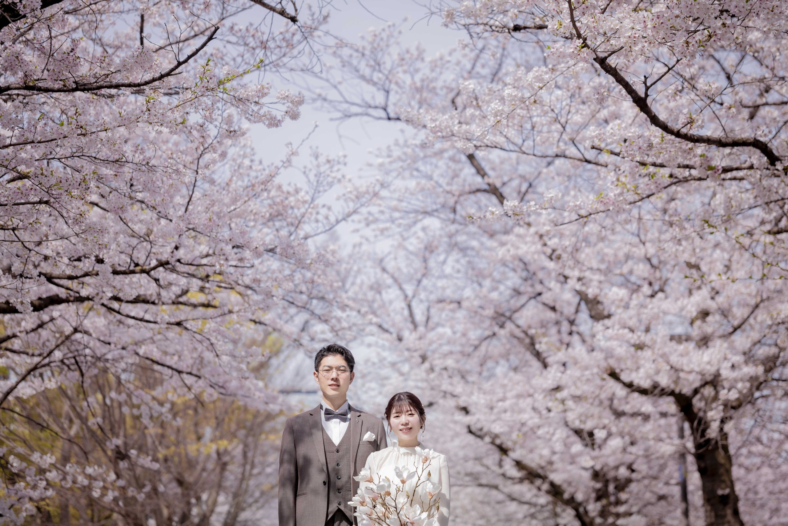 ✿満開の桜に囲まれて✿